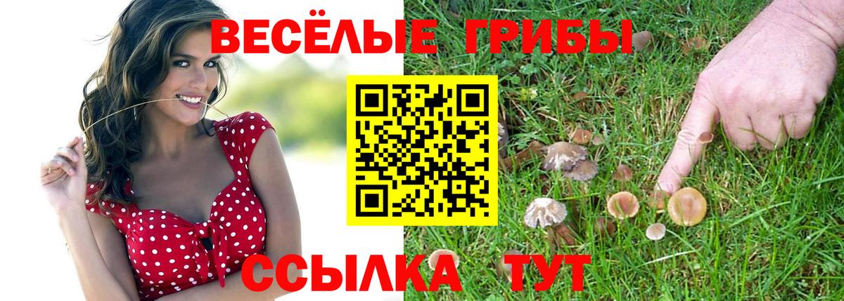 Тельмана  Псилоцибиновые грибы ЛСД  Псилоцибиновые грибы Psilocybe  Вход с VPN 