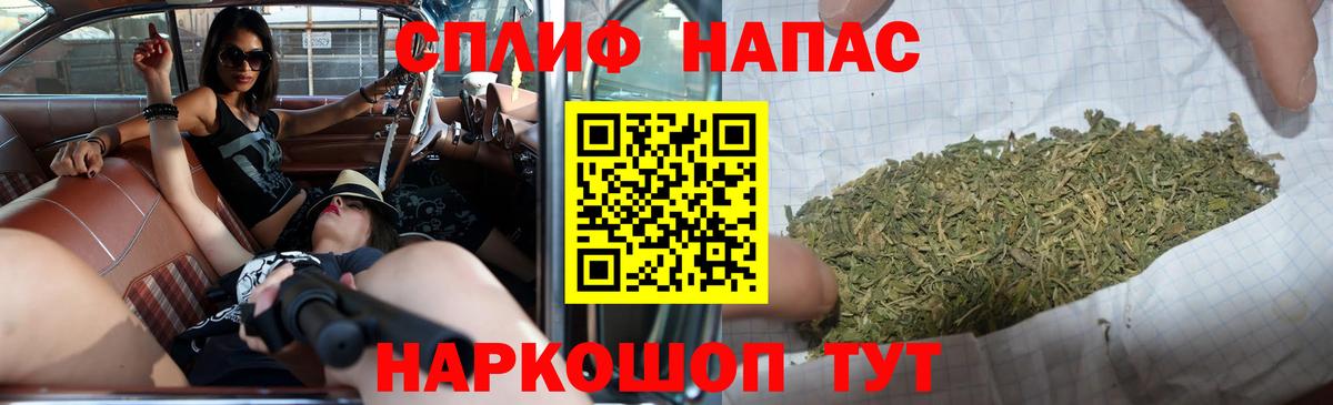 Канабис OG Kush Тельмана